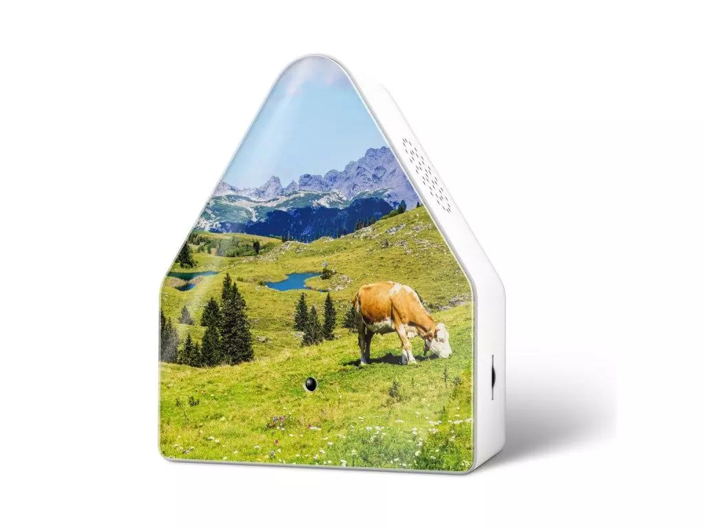 Heidi Box med motiv