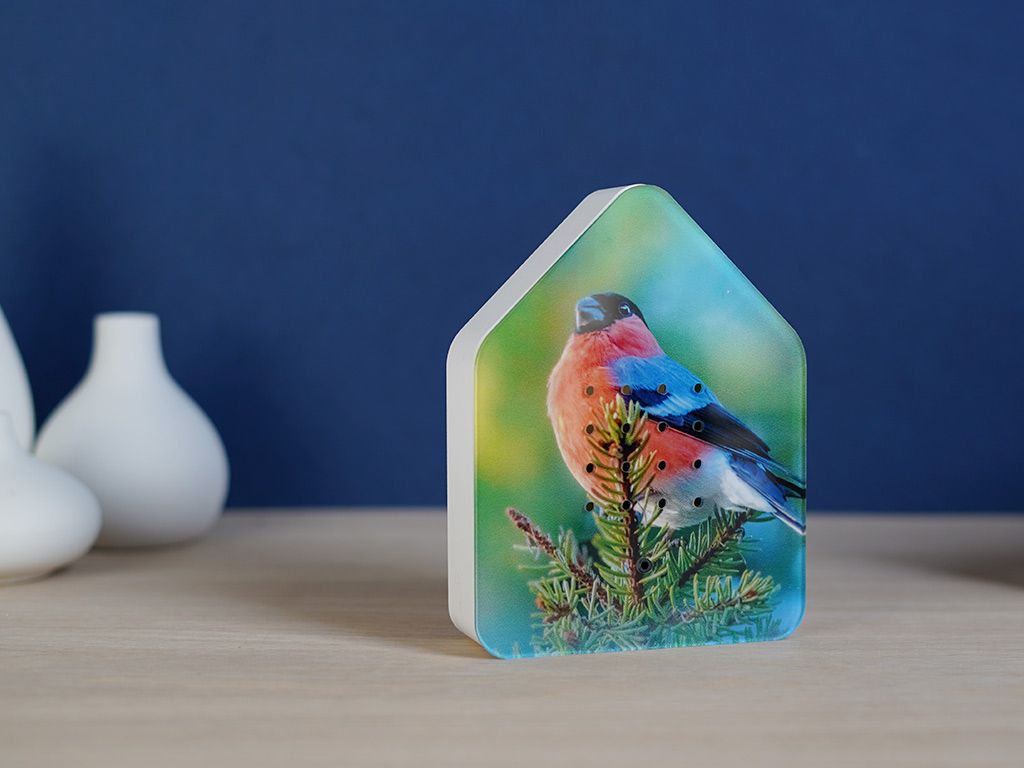 Zwitscher Box Limited Edition Dompap