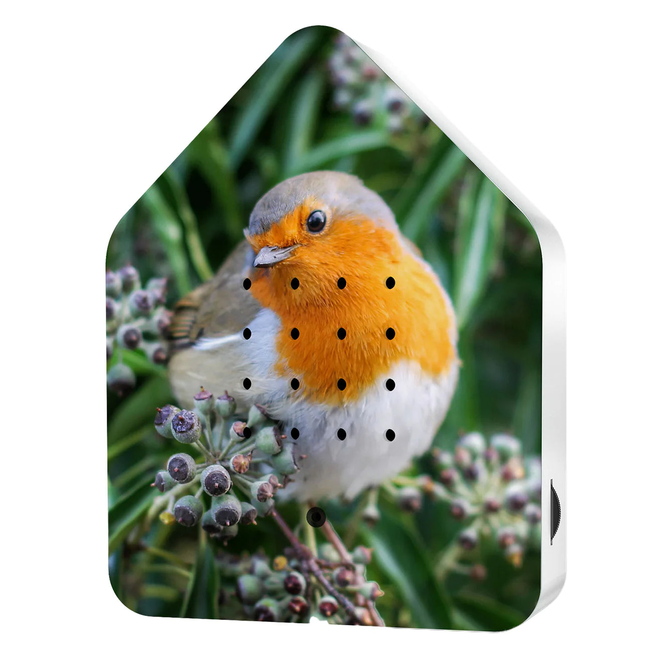 Nyhed! Birdy Box Limited edition - Robin Redbreast
