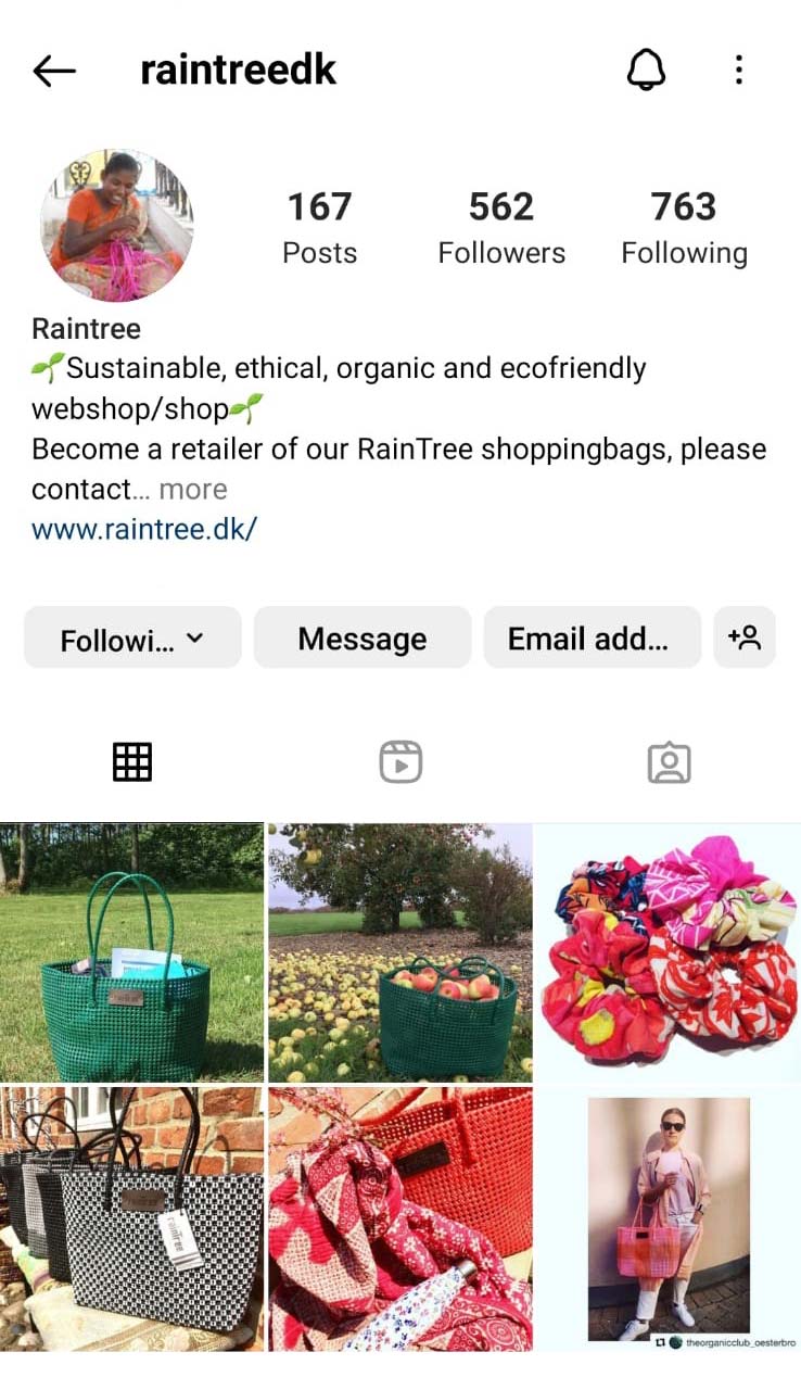 Skærmbillede af RainTree's Instagram konto