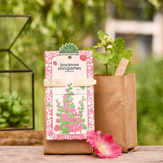 Mini have - stokrose