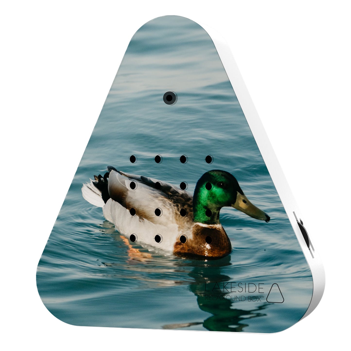 Nyhed! Lake side Limited edition - Wild Duck